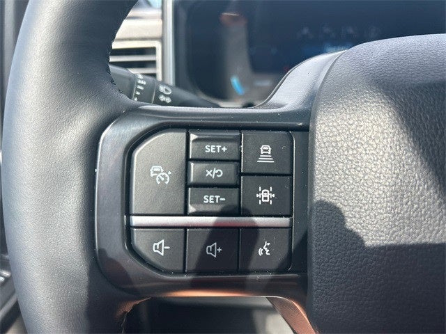 2025 Ford F-250SD Platinum