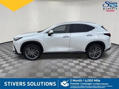 2024 Lexus NX 350h Luxury