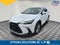 2024 Lexus NX 350h Luxury