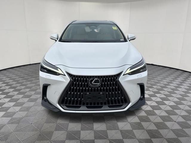 2024 Lexus NX 350h Luxury