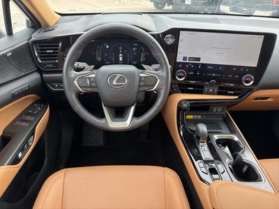2024 Lexus NX 350h Luxury