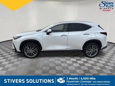 2024 Lexus NX 350h Luxury